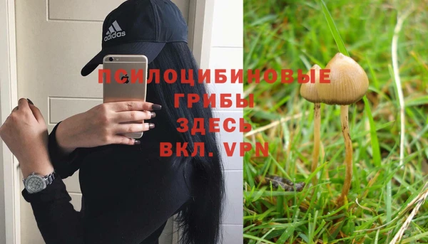 прущий лед Киреевск