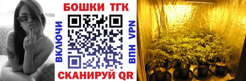 Бошки Шишки гибрид  Купить  Пудож 